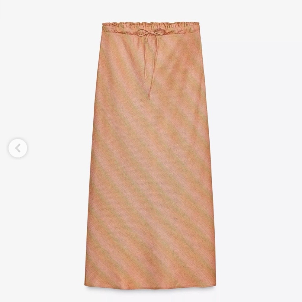 Zara maxi skirt - NWT